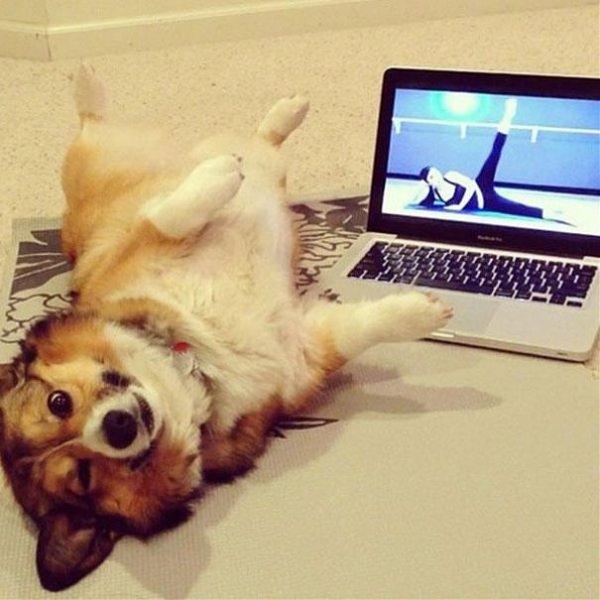 Снимка: BoredPanda