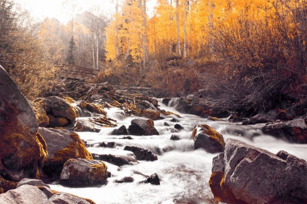 Снимка: markflowerphotography.com