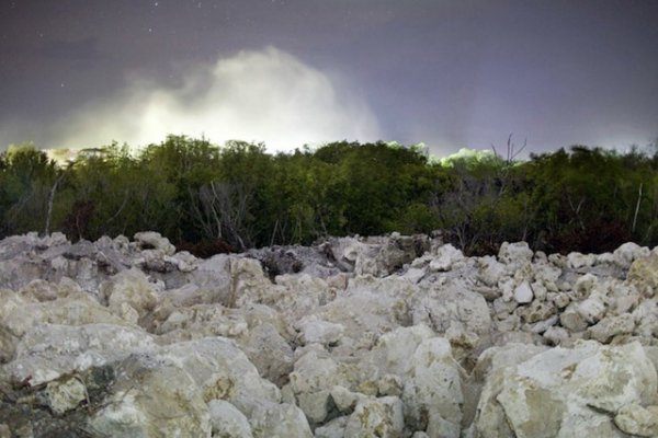 Снимка: paleyphoto.blogspot.com