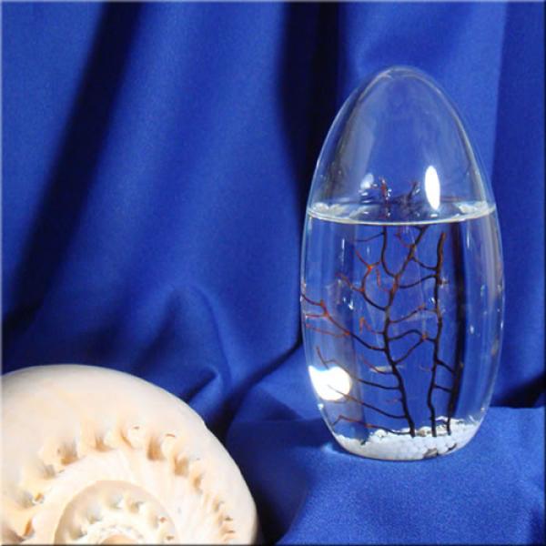Снимка: eco-sphere.com