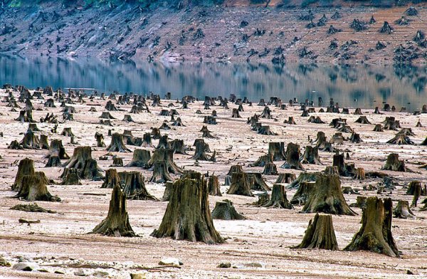 Национален парк гора в Орегон, САЩ – 99% унищоженаСнимка: Overdevelopment, Overpopulation, Overshoot