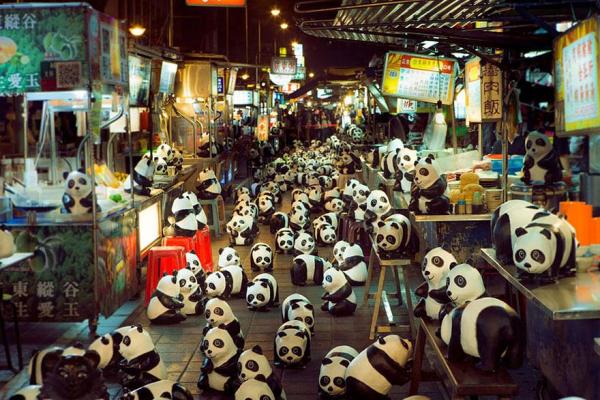Снимка:  pandasworldtour.tw 