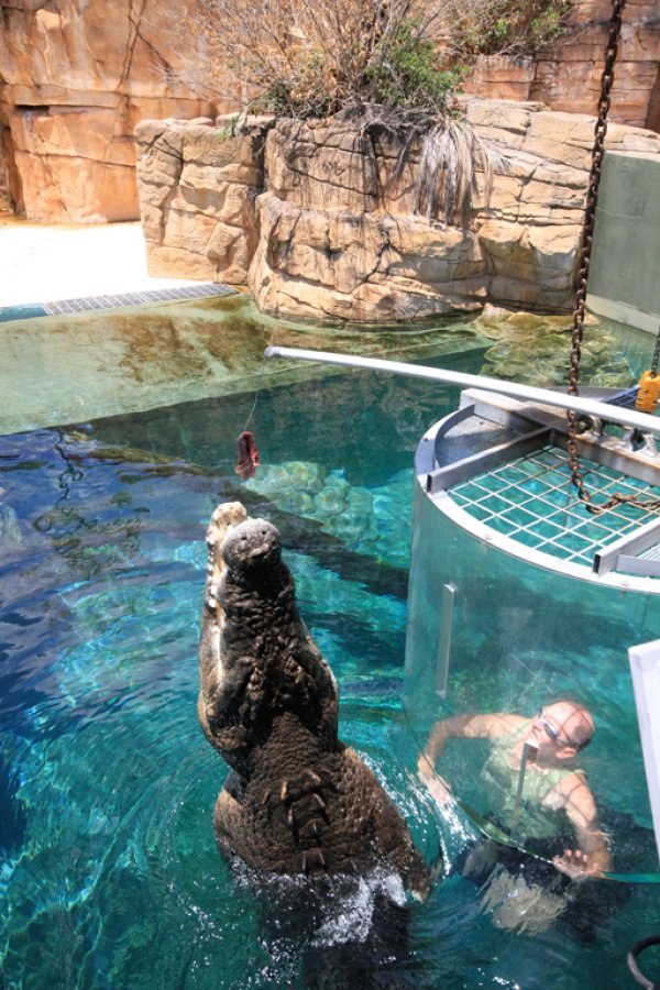 Снимка: crocosauruscove.com