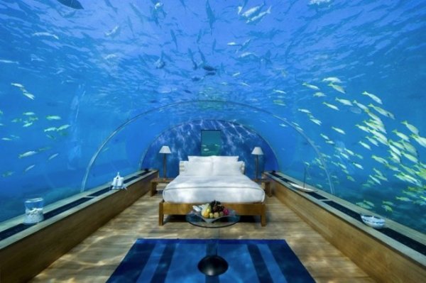 Снимка: http://www.home-designing.comЩе спите с рибите в тази спалня за меден месец в курорта Conrad Maldives Rangali. Красивият тунел на любовта е за тези, които не изпитват страх от морските дълбини.