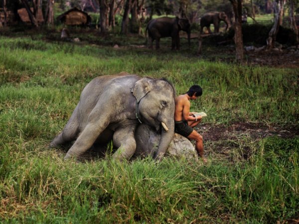 Снимка: Steve McCurry