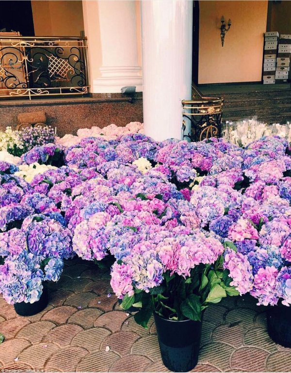 Снимка: Instagram