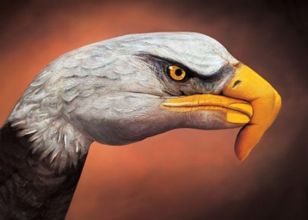 Снимка: Guido Daniele