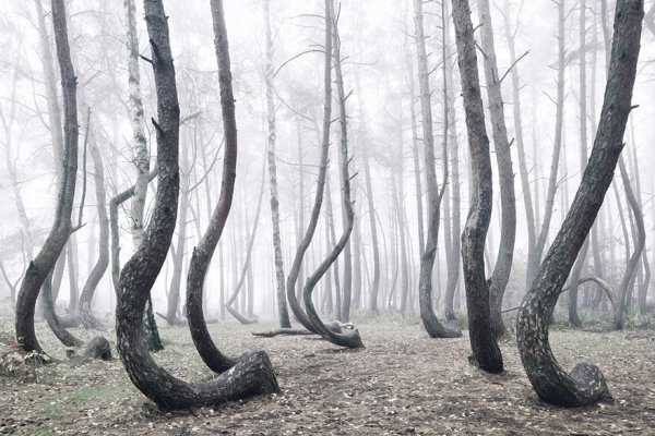Снимка: Kilian Schoenberger Photography