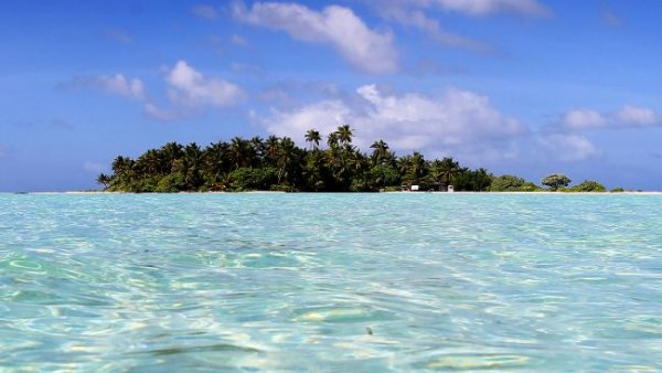 Остров Кокос (Cocos Island)Снимка: news.com.auТози остров се намира на 550 км от тихоокеанското крайбрежие на Коста Рика. Мястото е покрито от гъста джунгла и е необитаемо (с изключение на служителите от бреговата станция „Рейнджър“). Туристите могат да го посетят само ако имат специлано разрешение. Остров Кокос е най-вече популярна дестинация за скуба водолазите, но има хората, които идват тук да търсят съкровища. Счита се, че на острова има заровени пиратски съкровища от 19 век, както и злато от времето на инките. От 1997 година остров Кокос е част от световно и културно наследство на ЮНЕСКО.