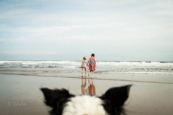 Снимка: Child Photo Competition