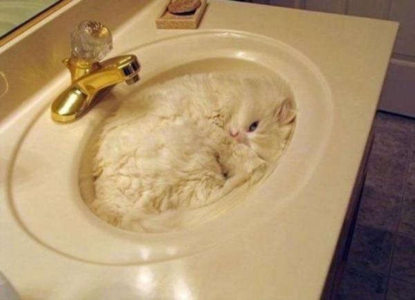 Снимка:imgur.com