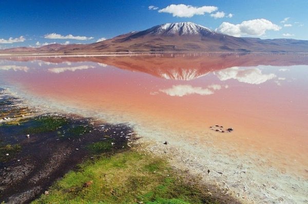 Снимка: panoramio.com