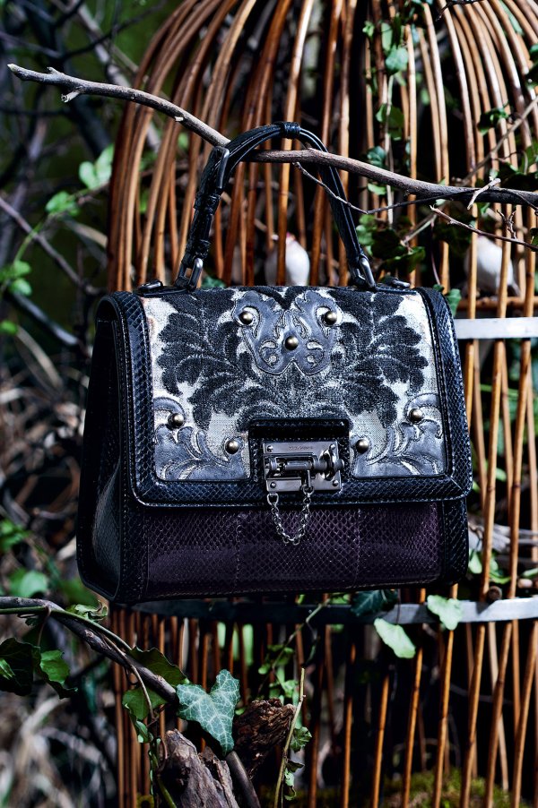 Снимка: Dolce & Gabbana