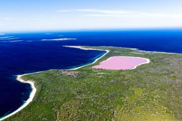 Розовото езеро край бреговете на Западна Австралия. Снимка; mydomaine.com