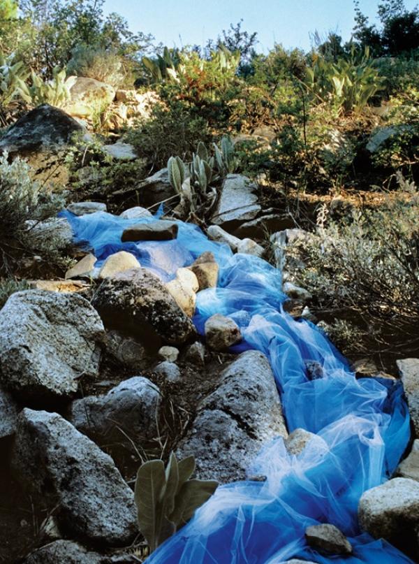 Калифорния, САЩ, 2000 годинаСнимка: Linda Gass