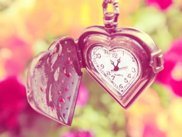Снимка: photo.elsoar.com