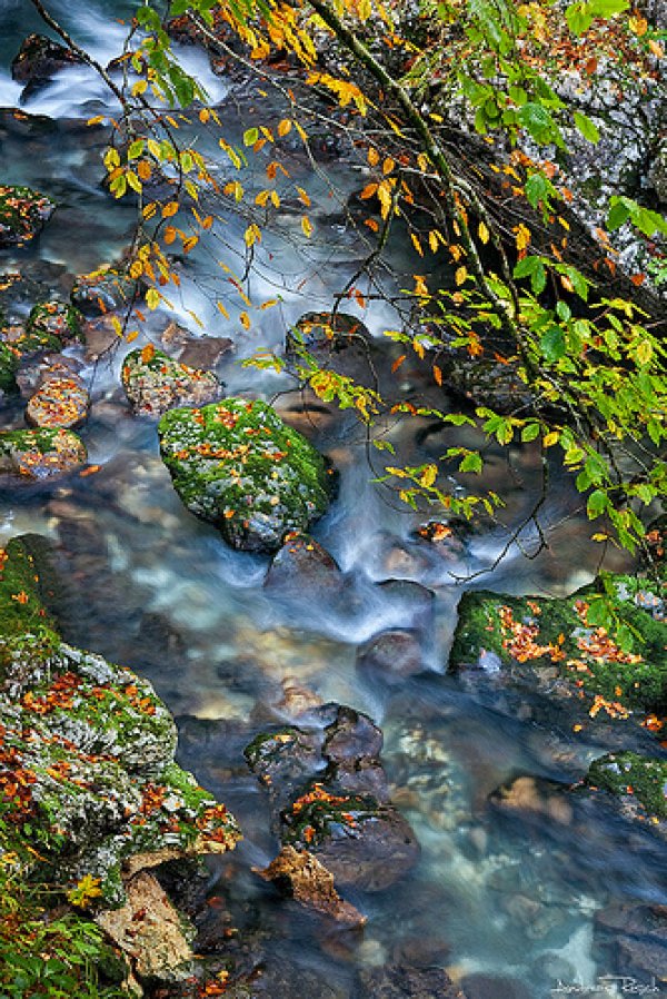 Снимка: flickr.com