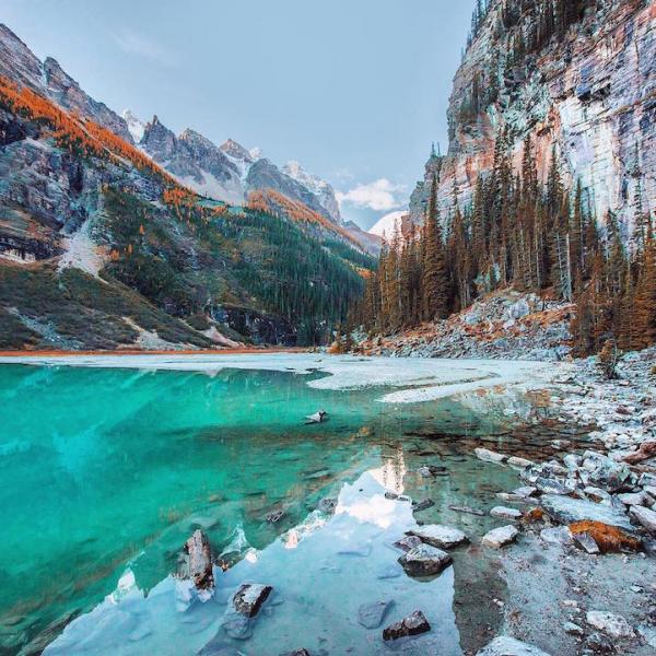 Снимка: Instagram