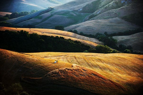 Снимка: www.ispwp.com