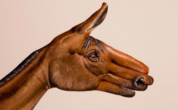 Снимка: Guido Daniele