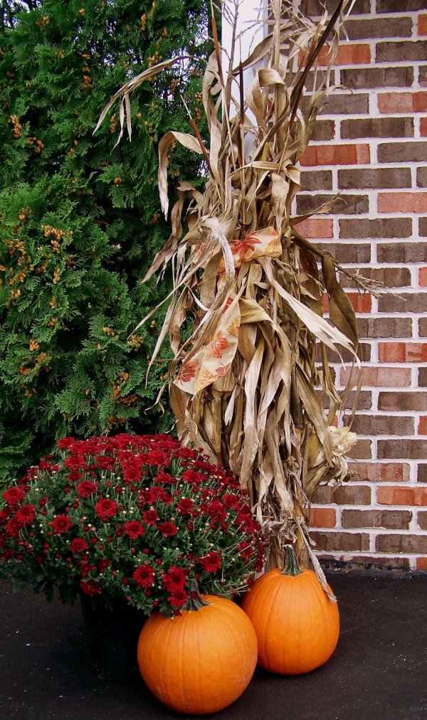 Снимка: thefrugalhomemaker.com