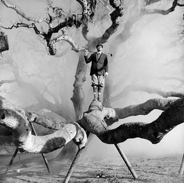 Снимка: Rodney Smith