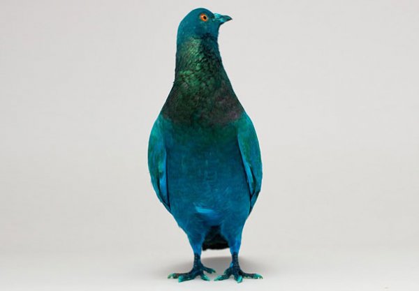 Снимка: designboom.com
