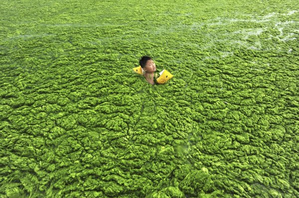 Дете плува във водния басейн на провинция Шандонг. Снимка: Reuters
