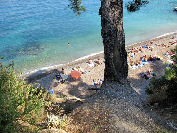 Снимка: sacopedPaloma Plage, Saint-Jean Cap FerratТози малък плаж е абсолютно очарователен. "Ла Палома" се намира на полуостров Сен Жан. Половината е частен, но има и публична зона с отворен достъп. Гледката от това място е невероятна, а и тук е много вероятно да зърнете някоя известна личност.