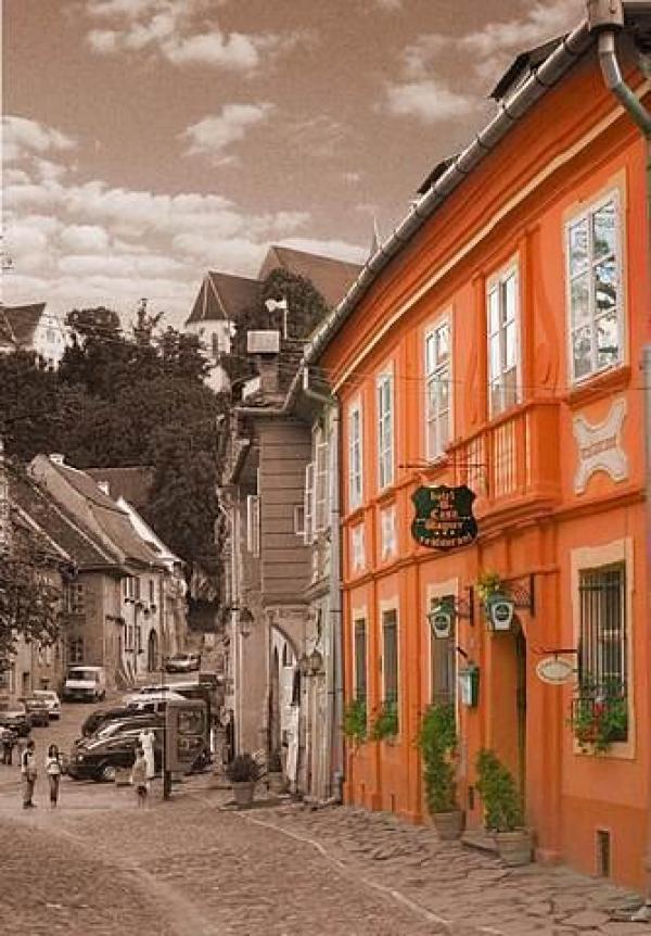 Снимка: trivago.deХотел Casa Wagner Сигишоара (Румъния)Най-силно тръпката на свръхестествените и мрачни същества ще усетите в родното място на Влад III. Дракула. Хотелът Casa Wagner се намира в центъра на историческия град Сигишоара(в окръг Муреш, Трансилвания, Румъния ). Заобиколен е от 400-годишна цитадела, включена в списъка за световно наследство на ЮНЕСКО. Според легендата граф Влад е започнал да пие кръв от спящите и се е превърнал в зловещ вампир.