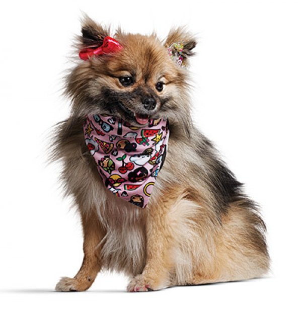 Снимка: community.petco.com