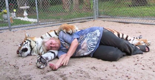 Снимка: BoredPanda