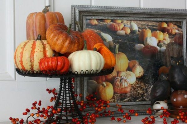 Снимка: thefrugalhomemaker.com