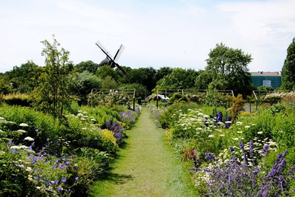 Slottstradgarden; Снимка: Flickr