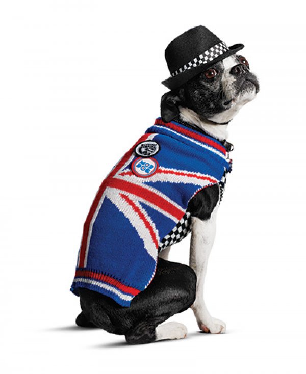 Снимка: community.petco.com