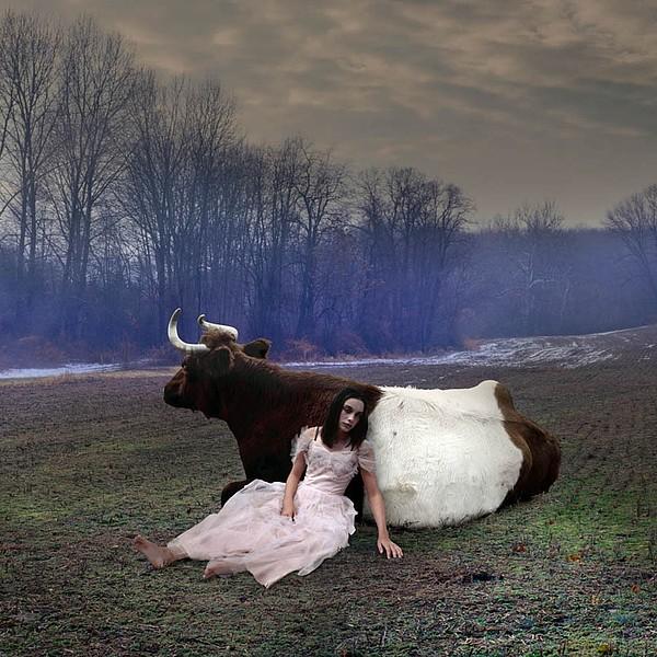 Снимка: Tom Chambers
