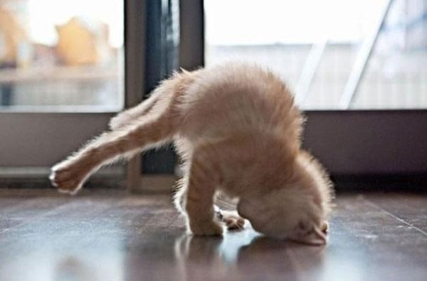 Снимка: BoredPanda