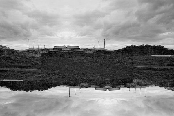 Снимка: Kazuhiko Kawahara