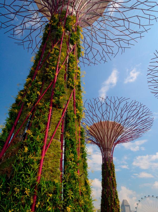 Снимка: designboom.com