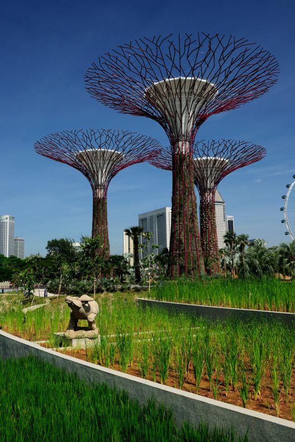 Снимка: designboom.com