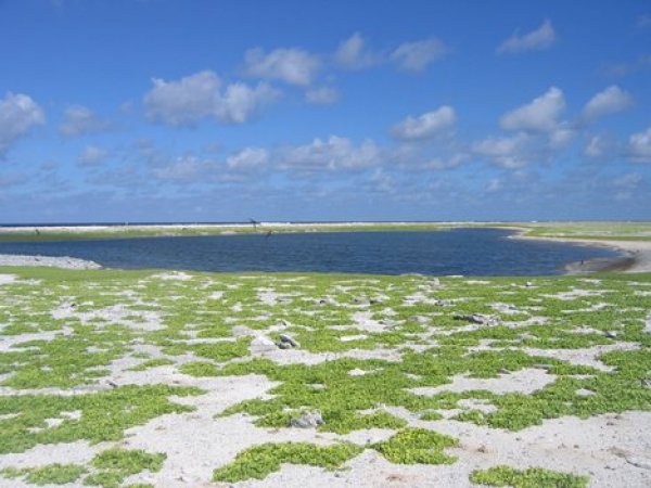 Островите Финикс (Phoenix Islands)Снимка: wn.comОстровите Феникс са група от 9 острова, 1 атол и 2 потопени коралови рифа, разположени в средата на Тихия океан и с обща площ 31 кв.км. От всичките острови е населен само един – Абаринга (Кантон), на който през 2005 година живеят едва 41 човека. Останалите са необитаеми. Този изолиран район има огромен масив от спокойна и чиста еко-система. Кораловите рифове и популациите от различни видове птици са почти недокоснати от човека. Правителството на държавата Кирибати официално обяви цялата островна група и околните води за защитена територия през 2008 година, което прави района най-голямата защитена морска зона в света.