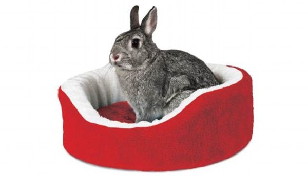 Снимка: Pets At Home