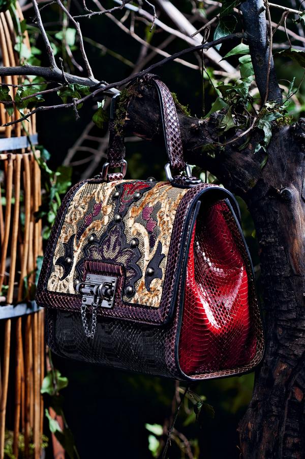 Снимка: Dolce & Gabbana