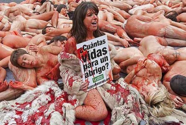 Снимка: PETA