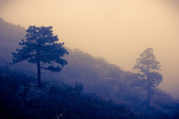 Снимка: markflowerphotography.com