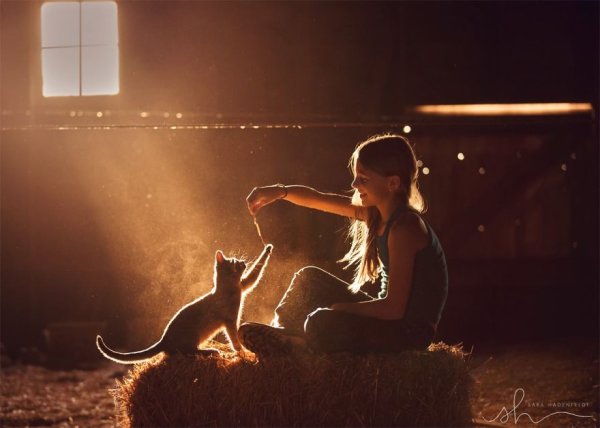 Снимка: Child Photo Competition