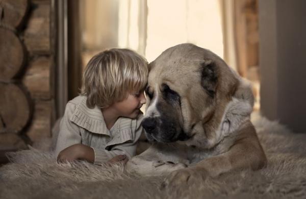 Снимка: Elena Shumilova