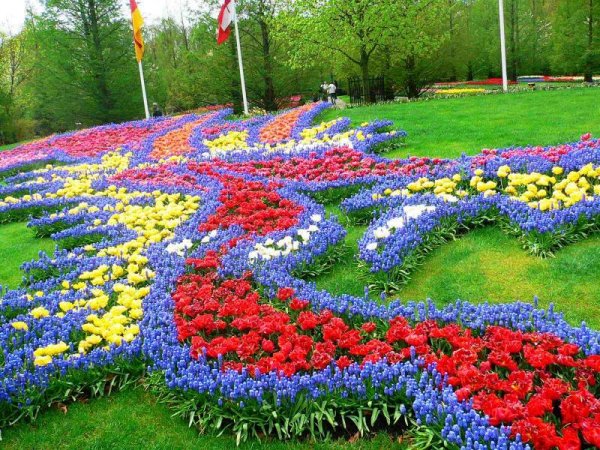 Снимка: www.keukenhof.nl