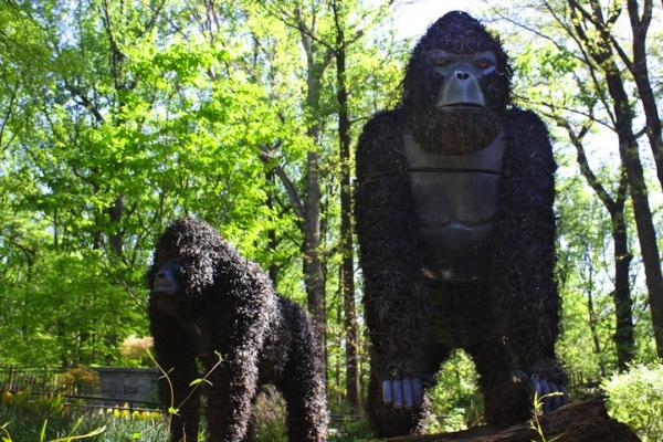 Снимка: Atlanta Botanical Gardens