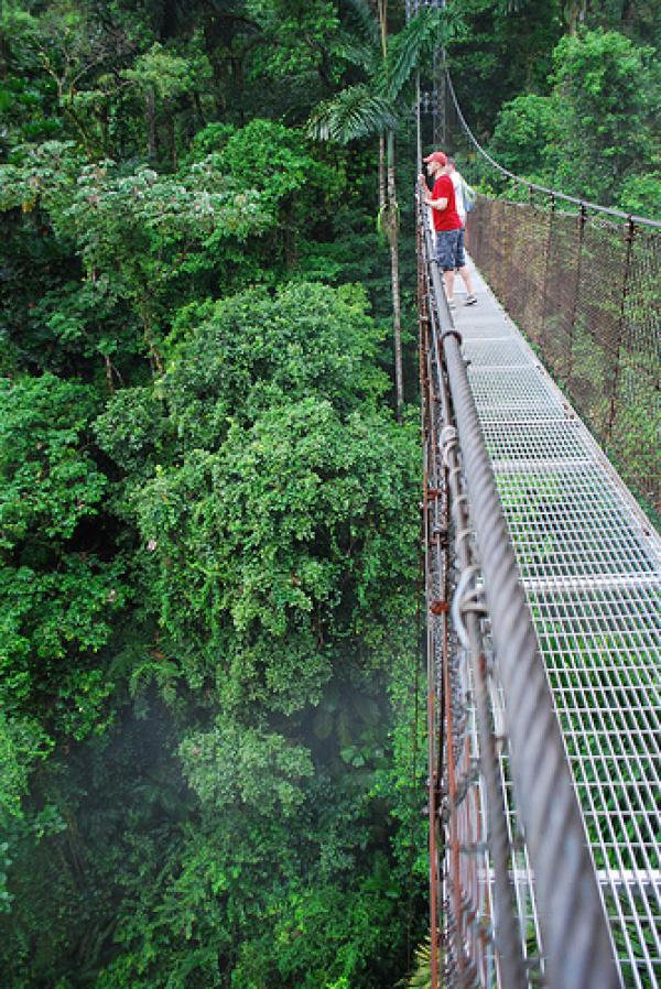 Снимка: weirdlyodd.comОкачени мостове „Аренал“, Коста Рика (Arenal Hanging Bridges, Costa Rica)Висящите мостове „Аренал“ са най-големият еко туристически проект в Коста Рика. Мостът се намира в дъждовна, тропическа гора с голямо биологично разнообразие и несравними живописни пейзажи. Няма турист, който да не оцени природните красоти на Коста Рика, стига да не умре от страх, преминавайки по този мост.